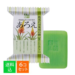y×6Zbg[֑zNo[R[|[V fu 낦  120g