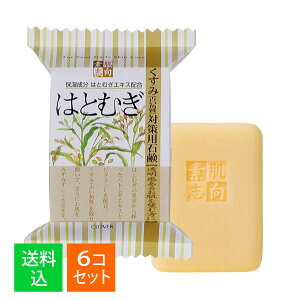 y×6Zbg[֑zNo[R[|[V fu ͂Ƃނ  120g