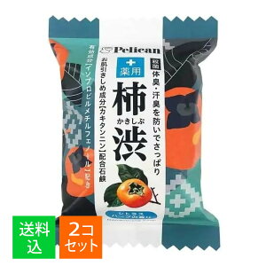 【×2個セット 送料込】ペリカン石鹸 ペリカンファミリー石鹸 薬用 柿渋 80g
