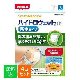 【×4個セット メール便送料込】森下仁丹 メディケア ハイドロウェットα 防水タイプ L 3枚入