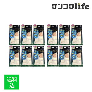 y×12 z܂zTCvX n ₷݌V[g 24 \et ܂ŃpbN CɂȂɂ薧