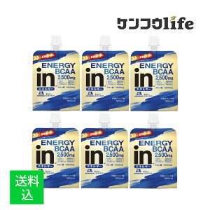 y×6 z܂zXi in[[ GlM[BCAA 180g