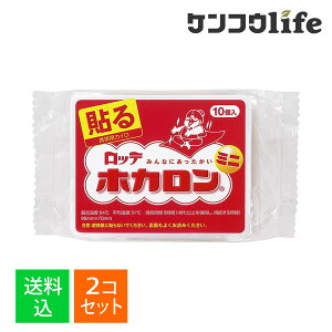 y×2 z܂zbe zJ ~j \^Cv 10 gїpJC