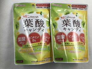 食品 葉酸 マタニティ ビューティー ヘルスの人気商品 通販 価格比較 価格 Com
