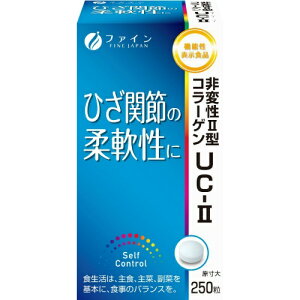 t@C ϐII^R[Q UC-II 250