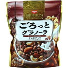 【×6個セット送料無料】日清シスコ ごろっとグラノーラ チョコナッツ 400g　(4901620161361)