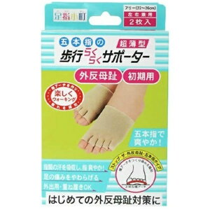 yEB^[Z[z~mE w s炭炭T|[^[ ܖ{w^Cv Ep 2