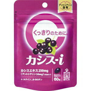 �X���m�O �J�V�X-I 60��