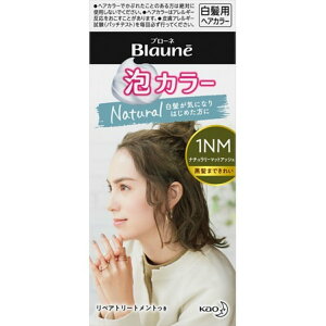 ヘアカラー 泡タイプ 白髪染めの人気商品 通販 価格比較 価格 Com