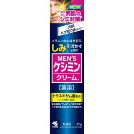 【送料込】小林製薬 薬用メンズケシミンクリーム 20g 1個