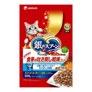 【送料込・まとめ買い×6個セット】ユニ・チャーム 銀のスプーン 吐き戻し軽減フード 800g