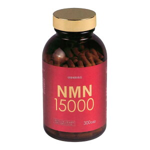 G`[ NMN15000 jR`A~hmkNI`h 300JvZ ԕi͂f肵܂