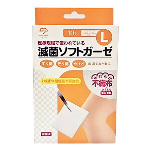 大衛 アメジスト 滅菌 ソフトガーゼ L 10枚入