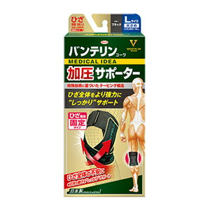 yE܂Ƃߔ×6Zbgza Kowa oeR[ T|[^[ Ђp L 傫 ubN