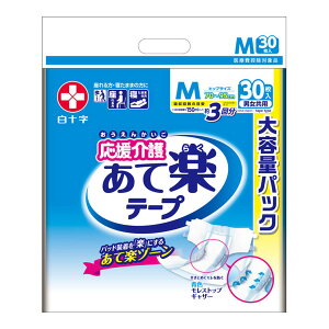 \  Ċy e[v M 30 jp ÔTΏۏi lpނ