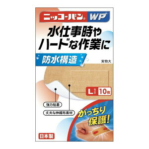 yNAXZ[zAi jbR[oWP No.507 LTCY 10