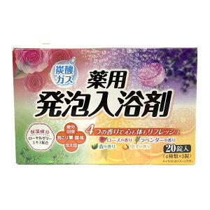 CIP~J A p  4ނ̍ A\[g 40g×20 򕔊Oi