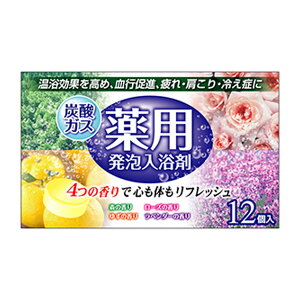 yZZ[zCIP~J p A Y_KX 4̍ŐŜbNX 4×3 12 򕔊Oi