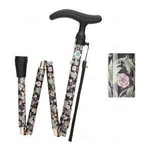 yE܂Ƃߔ×6ZbgztWz[ ANeBu O[X ܏ S ubN