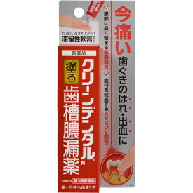 【第3類医薬品】クリーンデンタルN 歯槽膿漏薬 16g