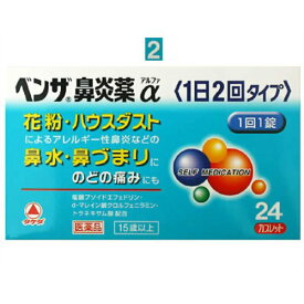 楽天市場 花粉症薬 1日1錠の通販