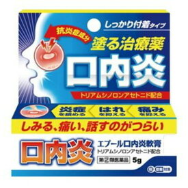 【送料込】【第(2)類医薬品】Pi エプール口内炎 軟膏 5g 塗る治療薬 ※セルフメディケーション税制対象