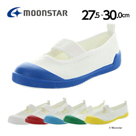 moonstar ムーンスター 子供靴 上履き Tefカラー 27.5cm-30cm 上靴 学校 入園 入学 白 抗菌防臭 うわばき 子供