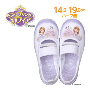 プリンセス 上履きの人気商品 通販 価格比較 価格 Com