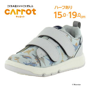 y11/4 20:00-11/11 1:59 10%OFFN[|z[X^[ Lbg qC LbY Xj[J[ moonstar RۖhL j̎qycTCY19.0cmzy1010Z[Ēl50%OFFzCR C2369 OC