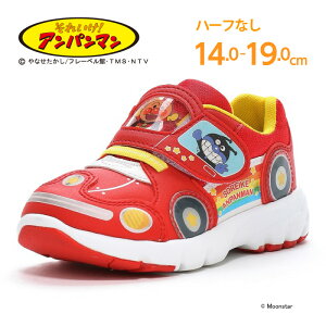 y11/4 20:00-11/11 1:59 10%OFFN[|zꂢIAp} qC LbY Xj[J[ AP C179 bh [X^[ moonstar oCL} hL j̎q