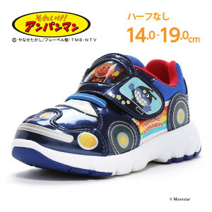 y11/4 20:00-11/11 1:59 10%OFFN[|zꂢIAp} qC LbY Xj[J[ AP C179 lCr[ [X^[ moonstar oCL} hL j̎q