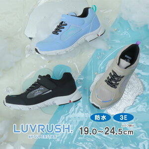 [X^[ ubV qC WjA Xj[J[ h݌v L b 3E ϖՒ p[ol ol̃`J moonstar ^ ̎q y2025NtVzLV 1221 ubN x[W TbNX