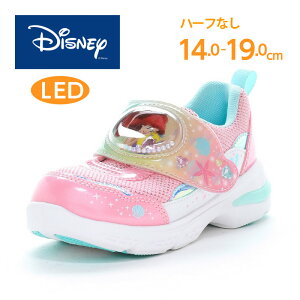 y11/14 10:00-11/16 23:59 10%OFFN[|zfBYj[ vZX AG qC LbY Xj[J[  LED Ag+RۖhL ̎q moonstar [X^[y2026tV1110zDN C1365LE sN