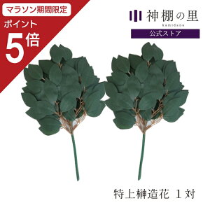 y}\|Cg5{z _I   呢 1 TJL 