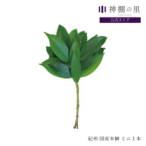 _I   IBY { ~j 1{ a̎RY TJL  _I̗