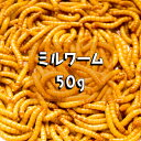 ミルワーム 50g （約400匹） 生餌 プラカップ入り 国産 新鮮 生き餌 活き餌 爬虫類 フトアゴヒゲトカゲ レオパードゲ…