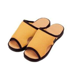 K`N[T_ ӂ݂ (ev) / сA܂őڃT̋Cǂ