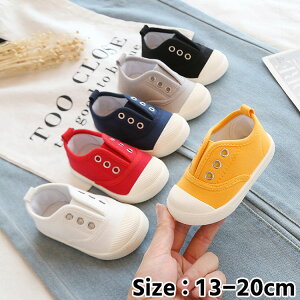 H  t y ʉ w  ۈ牀 ct  ǂ j̎q ̎q qC  C LoXV[Y oGV[Y w xr[ LbY V[Y Xj[J[ C X