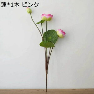 @ [^X i { CeA A[gt[ ԑ u[P  ͂Ȃ lHϗtA VN 