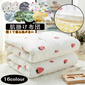 uPbg |ӂƂ ̎q |zc N[P zc j̎q xr[p ~pzc ѕz ~p qp 􂦂zc ѕz