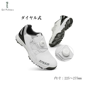  Y 傫TCY fB[X _C \tgXpCN XpCNt XpCNe 28.5cm TCY 4E L tBbg