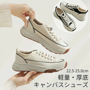 vbgtH[ X|[c C Ȃ ₷ y Xj[J[ wlC   4.5cm ؊v LoX fB[XV[Y