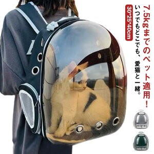 ybg ^  ^ p  obO obO   obO hZ L bN ybg ybgobO L 