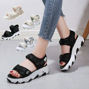 X|[cT_ Xj[J[T ₷ y  _bhV[Y EFbW\[ T_ X|T fB[XXgbv