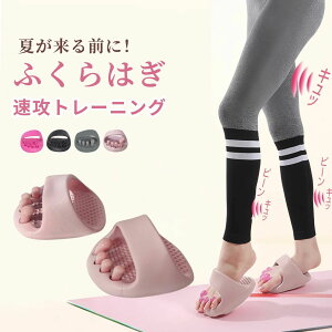 fB[ c{ }bT[W ނ p r  킢 T_ N  ̊ 􂦂  _CGbg