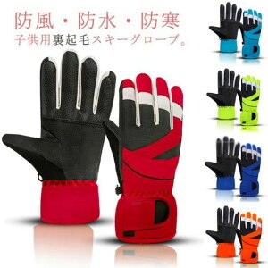 AEghA  h  Ԃ V O[u ] qp XL[O[u h O[u ܖ{w N qp ۉ