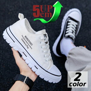  JWAV[Y K Cq[ V[NbgV[Y Xj[J[ Y wȂ up5cm gAbv5cm 