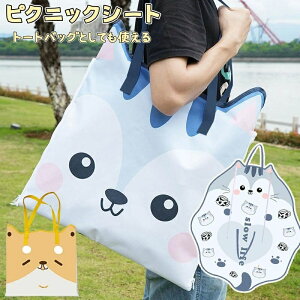 ȒP RpNg[ ~ h ܂肽 sNjbNV[g Lv ^[ g[gobO @\ h sNjbN}bg