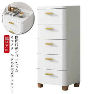 E ʏ Lb``FXg [I rO`FXg LX^[t ^X [P[X  5i X 30cm Ԏ[