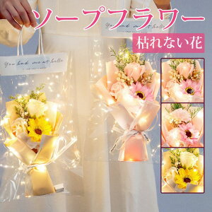  wj Ό  v[g ͂Ȃ [Y AEj ԑ JXj KN  Mtg J[l[V 